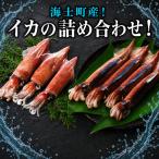 イカ 詰め合わせ