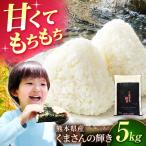 令和8年度産米くまさんの輝き白米5kg