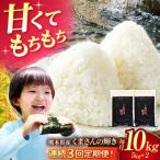 令和8年度産米3回定期便森のくまさん白米10kg 5kg×2