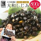 砂抜き済みで手間いらず 冷凍 小川原湖産大和しじみ800g 80…