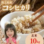 コシヒカリ 玄米 10kg