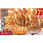 手包み ジャンボ スタミナ 餃子 45個