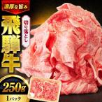 飛騨牛 切り落とし 250g