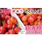 ふるさと納税 【先行予約】訳あり（双子果入り） さくらんぼ 紅秀峰 Lサイズ以上 1kg （500g×2パック） バラ詰 令和8年産 山形県産【2026.. 山形県寒河江市