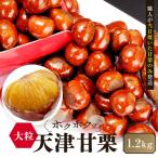 無添加 大粒天津甘栗 1.2kg