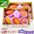 マンゴー 訳ありマンゴー 沖縄 約4kg