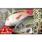 ゆうこうシマアジ 活〆 ×1尾 約1kg