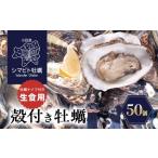 牡蠣 シマビト 殻付き 小豆島産