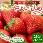 厳選 やよいひめ プレミアム 4パック