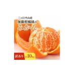 ふるさと納税 【訳あり】三ヶ日平山産 加藤柑橘園のみかん 約10kg みかん ミカン 蜜柑 青島みかん フルーツ 静岡 浜松市 静岡県浜松市