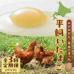 平飼い たまご T074-T01-01 卵