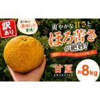 甘夏8kg