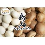 fu.... налог остров человек гриб комплект ( jumbo ×1 белый * Brown каждый 100g комплект ) гриб .. .... комплект белый masi.. Okinawa префектура нить полный город 