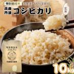 玄米 10kg