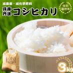特別栽培米 丹波コシヒカリ 3kg