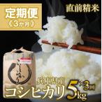 コシヒカリ 白米5kg ×3か月連続お届け