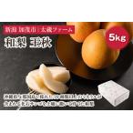 和梨 豊水 5kg