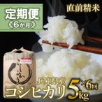 コシヒカリ 白米5kg ×6か月連続お届け