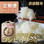 コシヒカリ 白米5kg ×12か月連続お届け