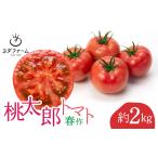 桃太郎トマト 春作 約 2kg