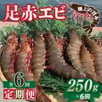 足赤エビ 250g×全6回 計1.5kg