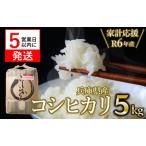 令和6年産 コシヒカリ 白米5kg 10-112