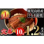 ふるさと納税 無投薬！鹿児島県産うなぎ蒲焼セット＜定番＞(計1.2kg以上・ 約120g×10尾) タレ・山椒付き 鰻 ウナギ 国産【西日本養鰻】C4.. 鹿児島県曽於市