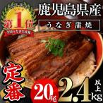 うなぎ 無投薬 計2.4kg以上