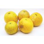 ふるさと納税 【2026年4