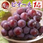 ぶどう ピオーネ 1kg