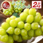 シャインマスカット 2kg