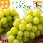 シャインマスカット 1kg