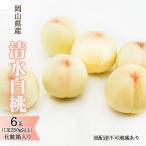 清水白桃 化粧箱入り