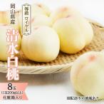 清水白桃 ロイヤル 化粧箱入り