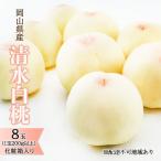 清水白桃 化粧箱入り