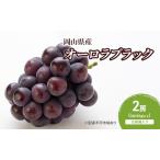 ぶどう オーロラブラック 化粧箱