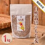 もち麦 自然栽培 ダイシモチ 1kg