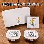 味噌セット 自然栽培米みそ麦みそ有機JAS