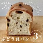 ぶどう食パン 3本