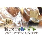 パン 粒ごろごろブルーベリージャムとパン