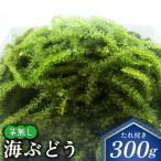 海ぶどう 茎無し海ぶどう 300g