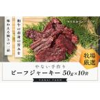 やないの手作りビーフジャーキー 50g×10袋