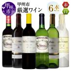 ワイン 厳選ワイン6本セット MG