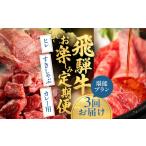 ふるさと納税 飛騨牛お楽しみ定期便 3回 堪能プラン 定期便 岐阜県飛騨市