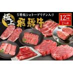 牛肉 ヒレ 東 5等級シャトーブリアン入り