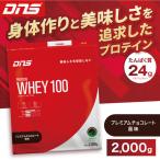 DNS プロテインホエイ 100 プレミアムチョコレート