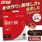 DNS プロテインホエイ 100 プレミアムチョコレート