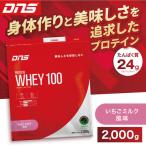 DNS プロテインホエイ 100 いちごミルク