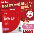 DNS プロテインホエイ 100 いちごミルク