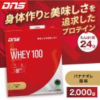 DNS プロテインホエイ 100 リッチバニラ
